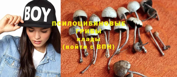 мяу мяу мука Лабытнанги