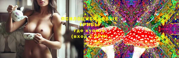 дживик Вуктыл