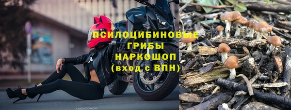 дживик Вуктыл
