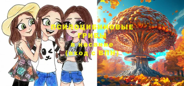 марки nbome Галич