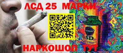 индика Канаш