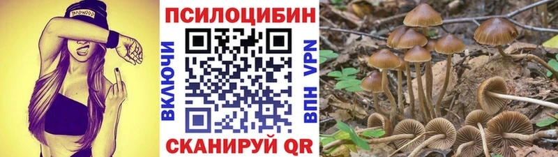 Псилоцибиновые грибы прущие грибы  купить закладку  Муравленко 