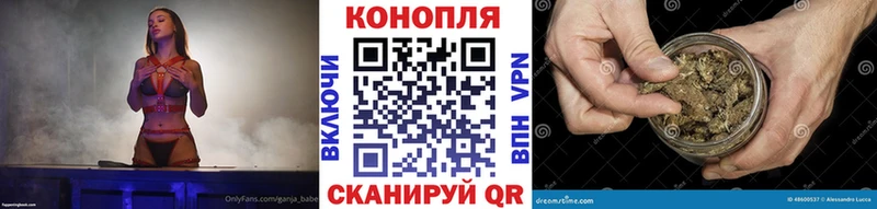 купить Муравленко Марихуана сатива